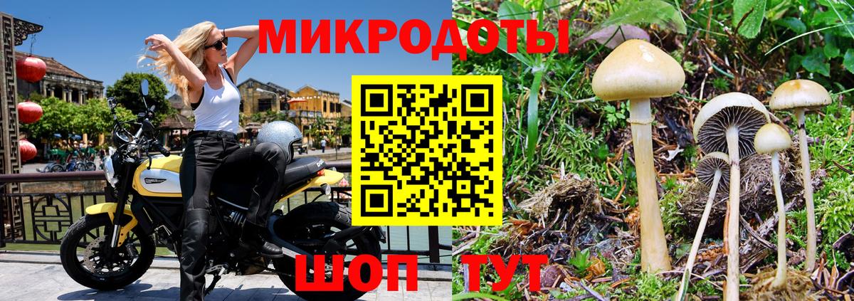 Галлюциногенные грибы прущие грибы Ртищево
