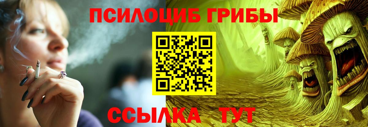 Ртищево  Псилоцибиновые грибы ЛСД  как найти наркотики  Вход с VPN 